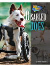 Cover image for Disabled Dogs